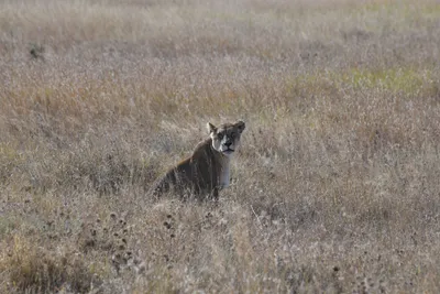 DSC_3915 (Large).JPG